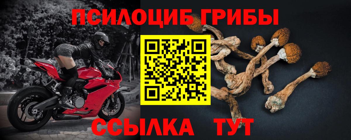 Новомосковск  Псилоцибиновые грибы мухоморы  Галлюциногенные грибы мухоморы  Вход с VPN 