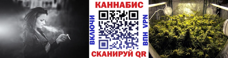 Шишки марихуана OG Kush Новомосковск